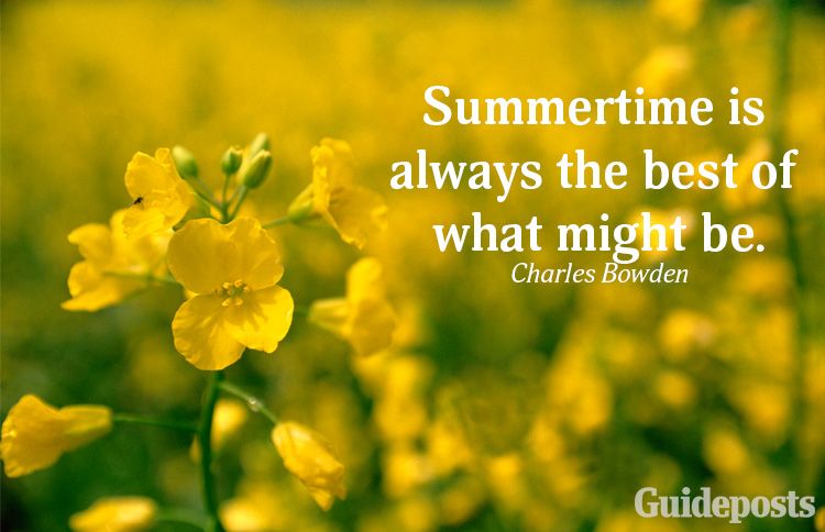 A summer quote from Charles Bowden