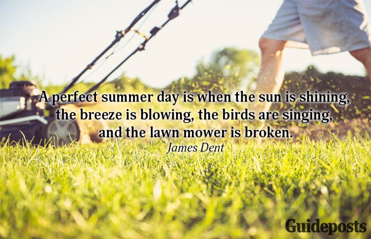 A summer quote from James Dent