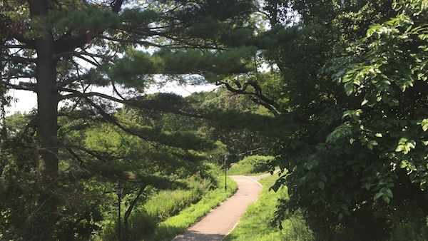 How walking in nature can lower stress and promote health