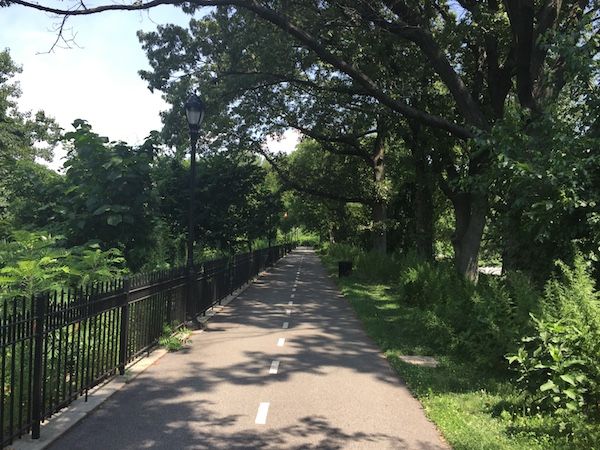 Walking in Highland Park in Queens, New York.