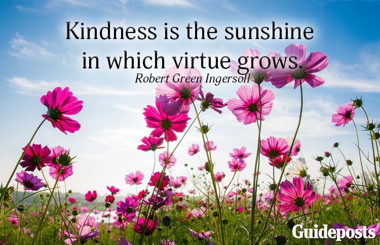 Kindness is the sunshine in which virtue grows.—Robert Green Ingersoll