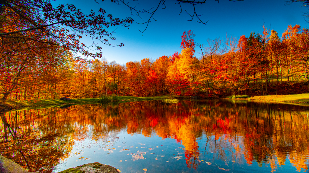 Vermont fall foliage.