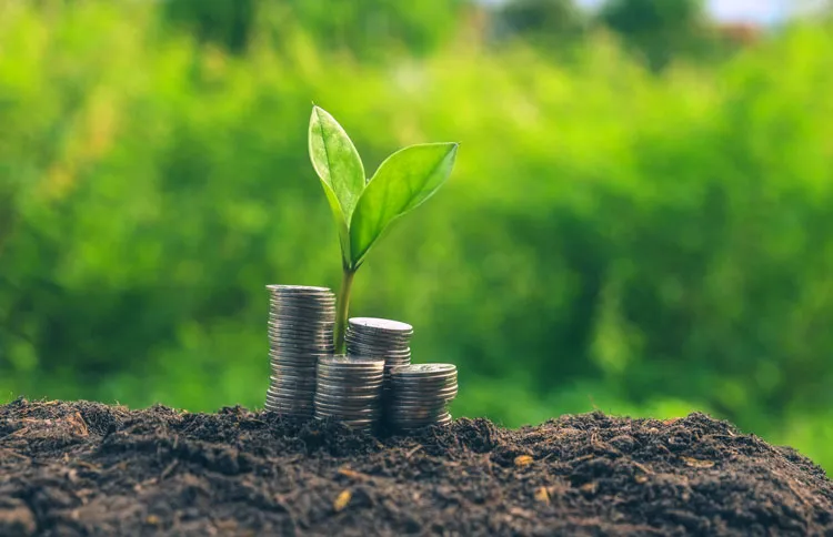 A young green plant sprouts from a stack of coins