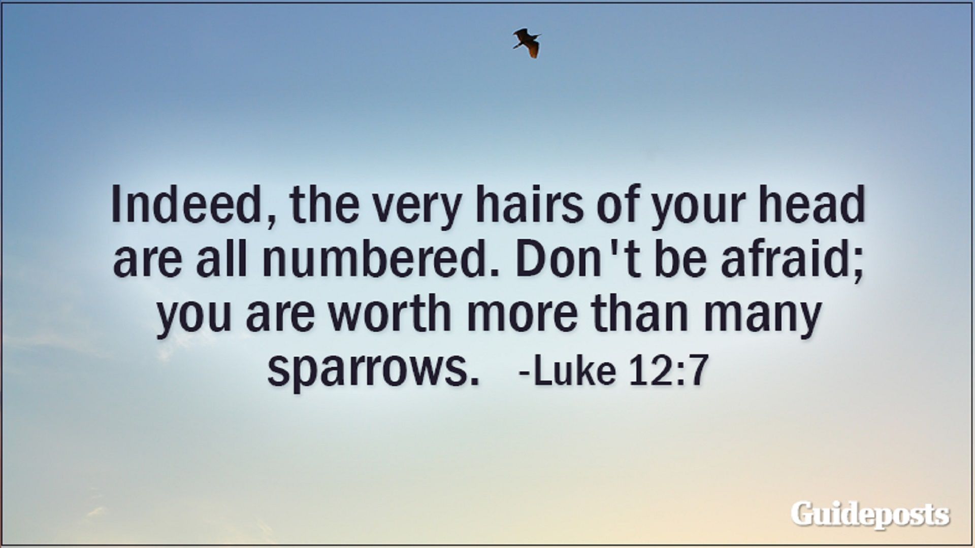 Indeed, the very hairs of your head are all numbered. Don't be afraid; you are worth more than many sparrows. Luke 12:7