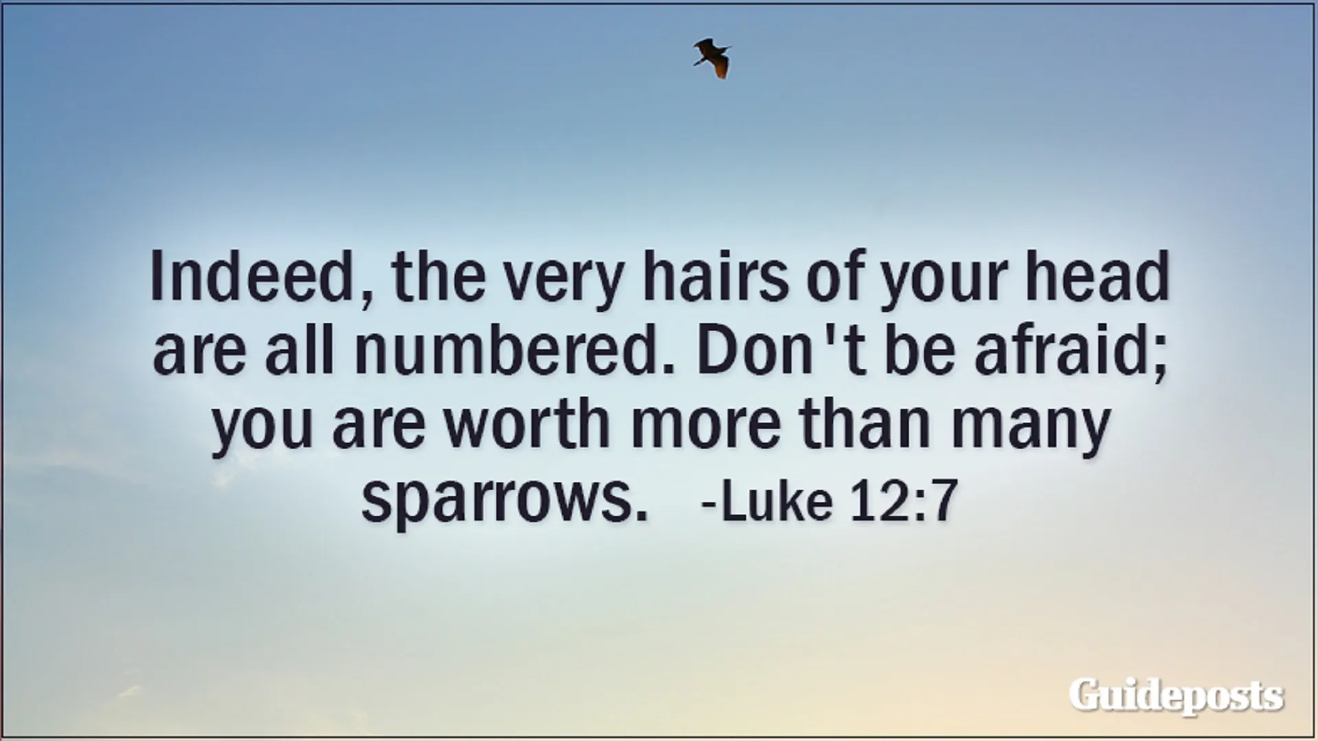 Indeed, the very hairs of your head are all numbered. Don't be afraid; you are worth more than many sparrows. Luke 12:7