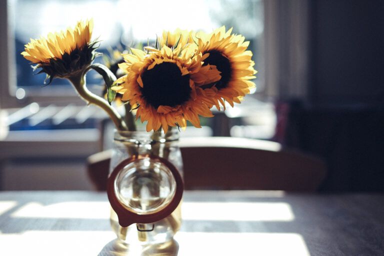 Vase of sunflowers