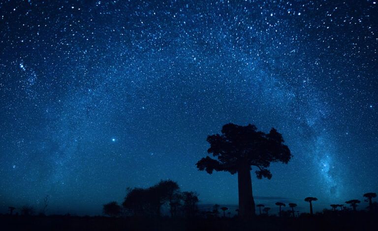 Starry night landscape