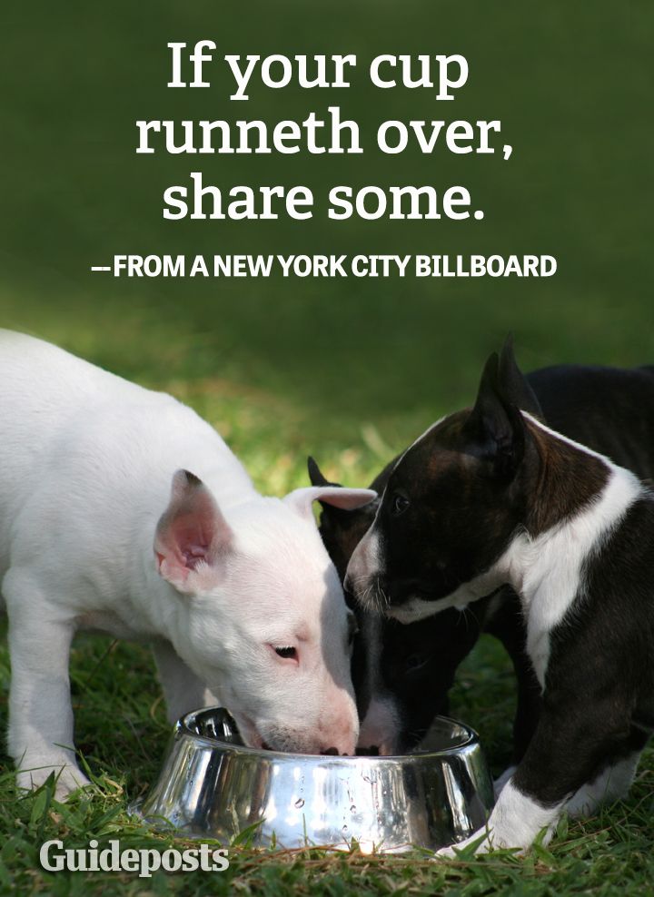 Helping_Others_Graphic_Quote_NYC_billboard_cup_runneth_over