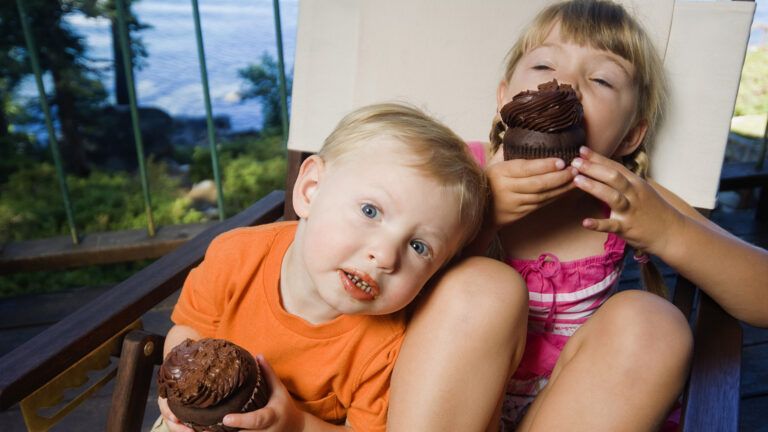 Chocolate Cupcakes