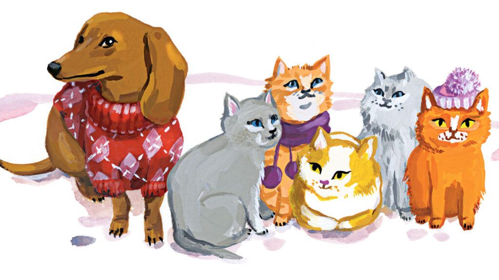 Illustration of cats and dogs dressed warmly