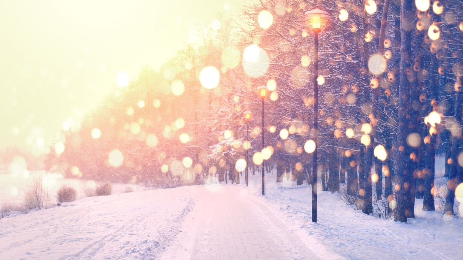 A snowy road in the sunlight with a New Year prayer for peace