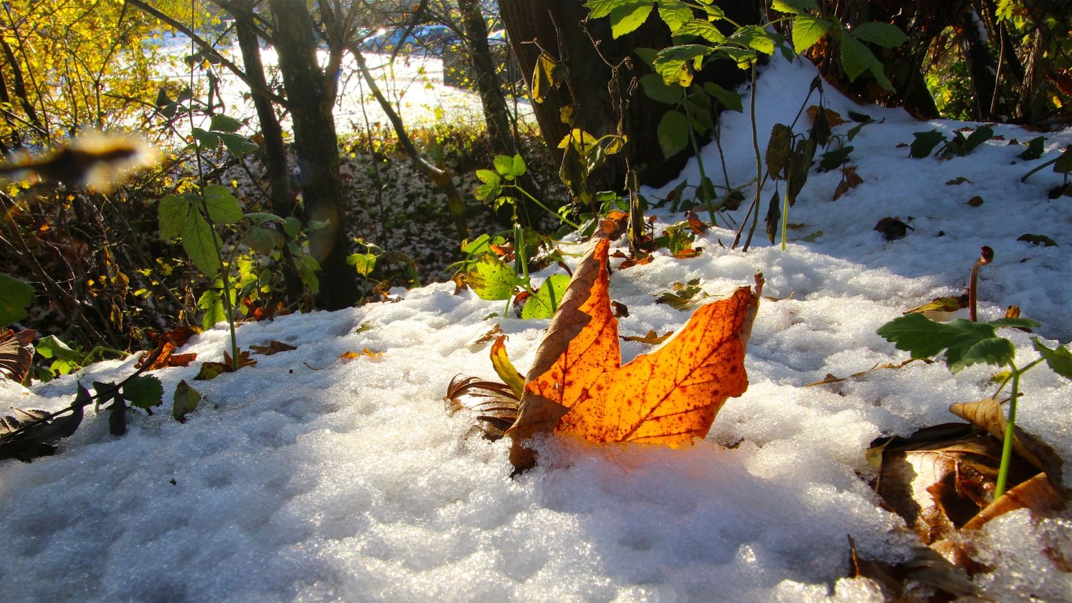A orange leaf in the snow with a New Year prayer for 2023