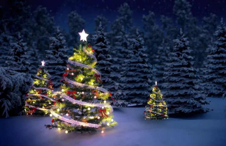 Several Christmas trees, strung with glowing lights, shine in a snow-covered field