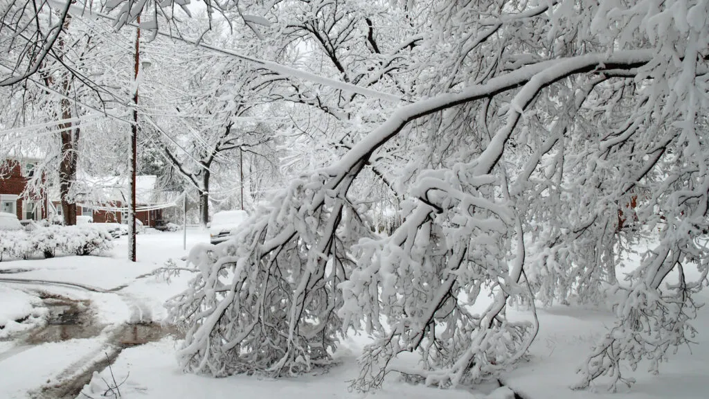 How a power outage blessed a family