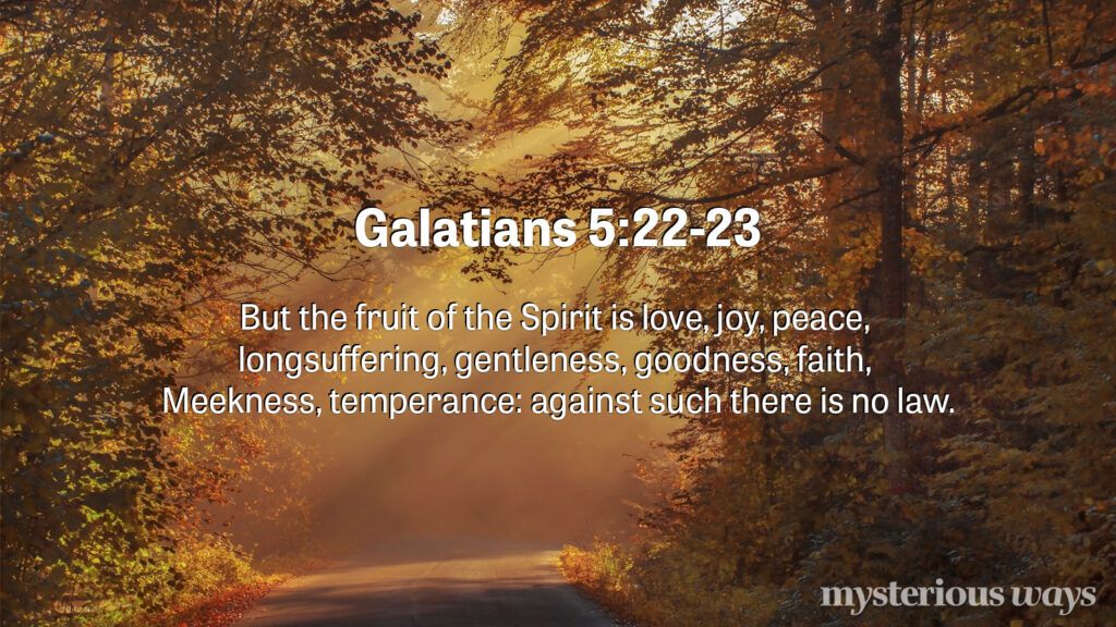 Galatians 5:22-23 “But the fruit of the Spirit is love, joy, peace, forbearance, kindness, goodness, faithfulness, gentleness, self-control. Against such things there is no law.”
