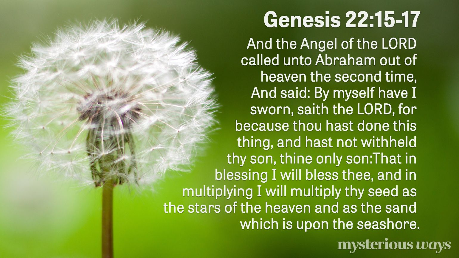 Genesis 22:15-17 “Then the Angel of the LORD called to Abraham a second time out of heaven, and said: ‘By Myself I have sworn, says the LORD, because you have done this thing, and have not withheld your son, your only son— blessing I will bless you, and multiplying I will multiply your descendants as the stars of the heaven and as the sand which is on the seashore’”