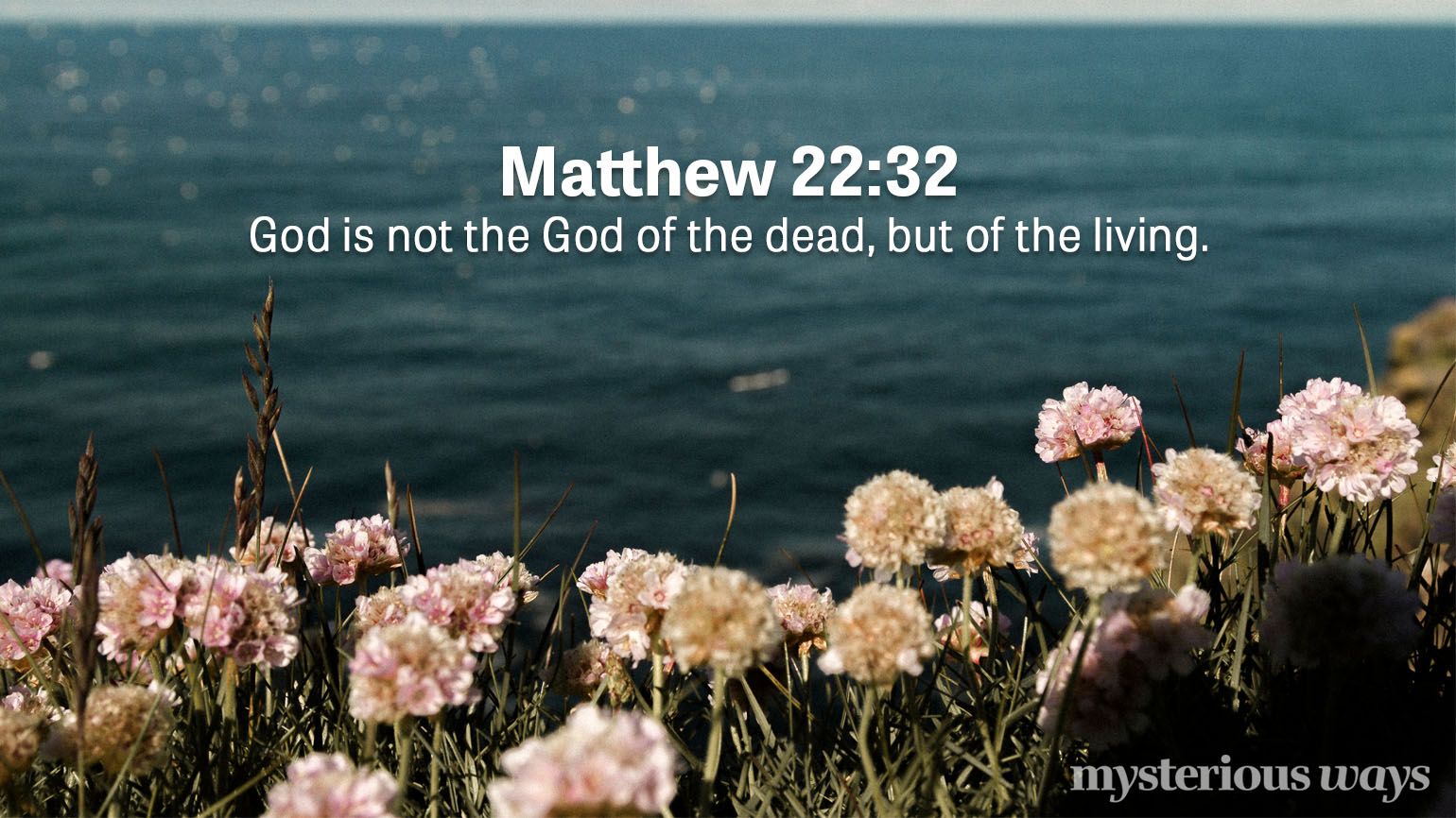 Matthew 22:32 “God is not the God of the dead, but of the living.”