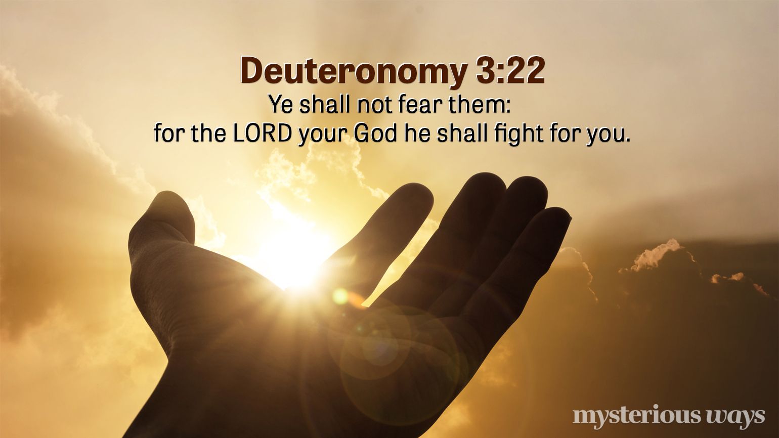 Deuteronomy 3:22 “ ‘You must not fear them, for the LORD your God Himself fights for you.’”