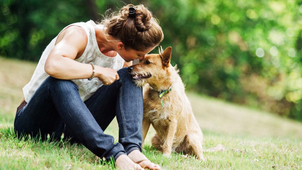 5 Ways to Heal When Grieving the Loss of a Pet