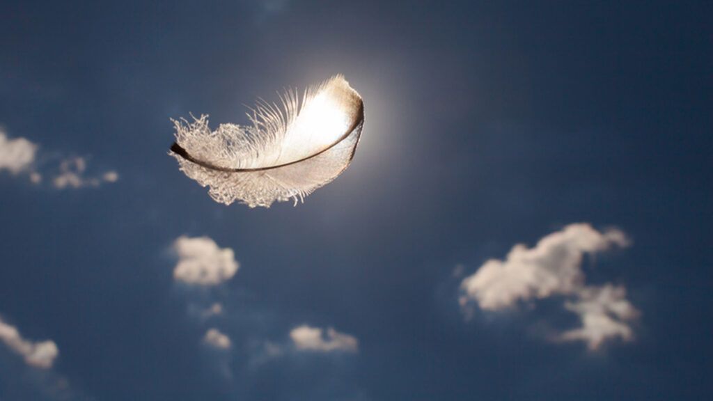 Feather illuminated by light as it falls from the sky