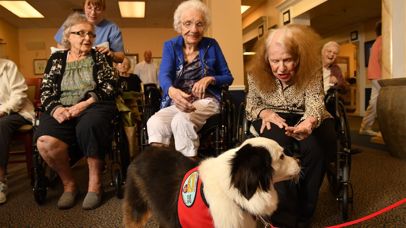 Residents light up when they see Jack coming. His daily visits are definitely a highlight for them.