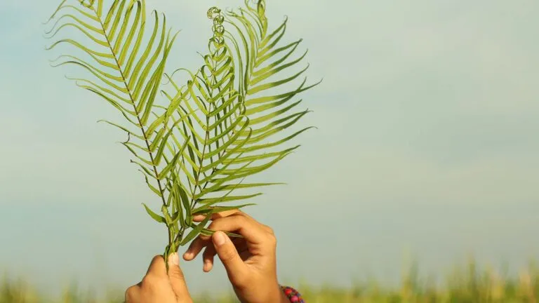 Woman's hands holding up palm fronds as she says Holy Week prayers