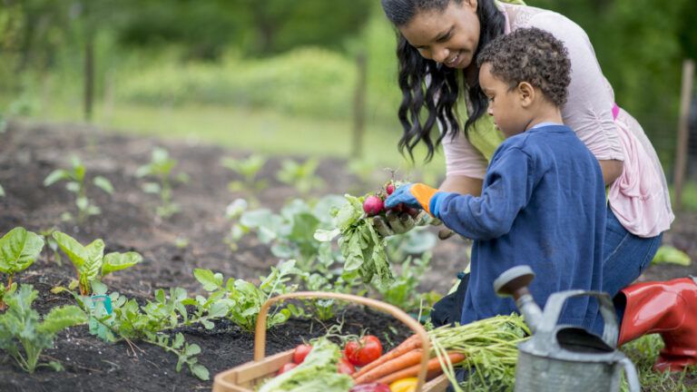 Family Gardening