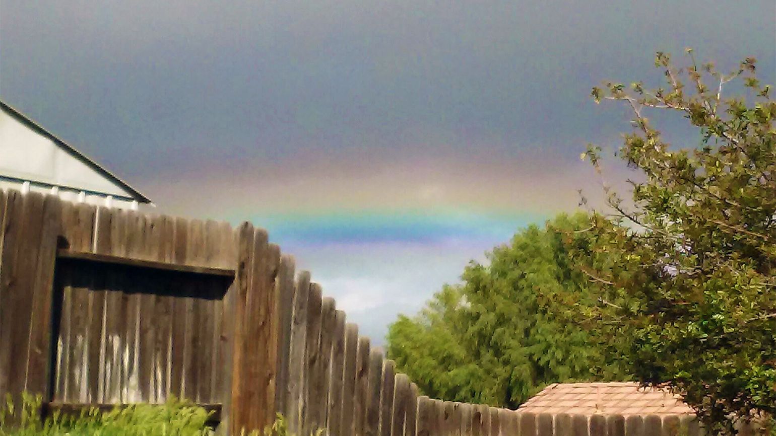 The rainbow that follows a spring shower
