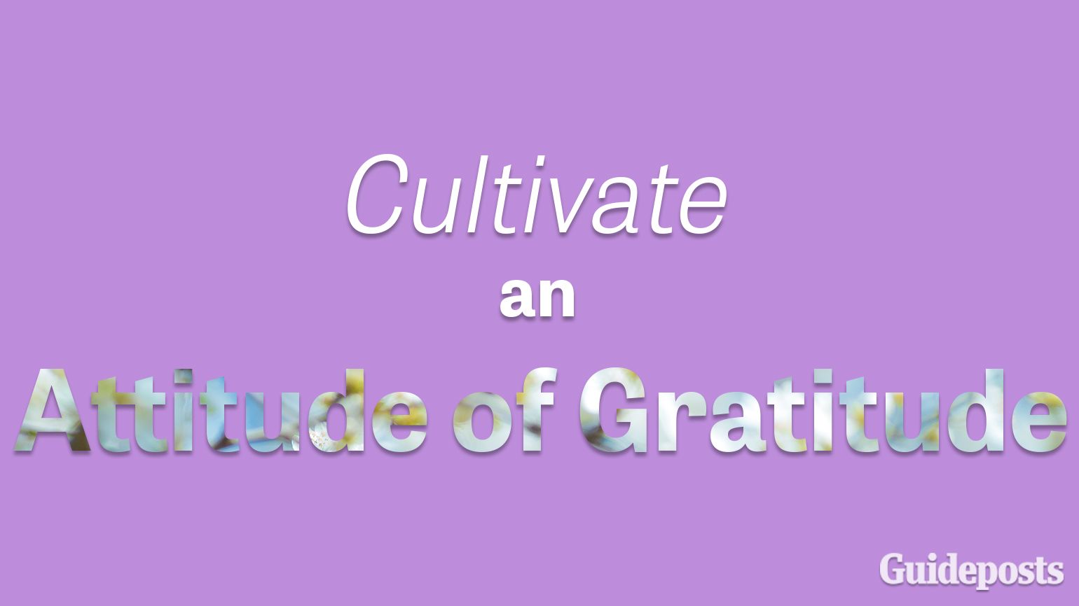Cultivate an Attitude of Gratitude