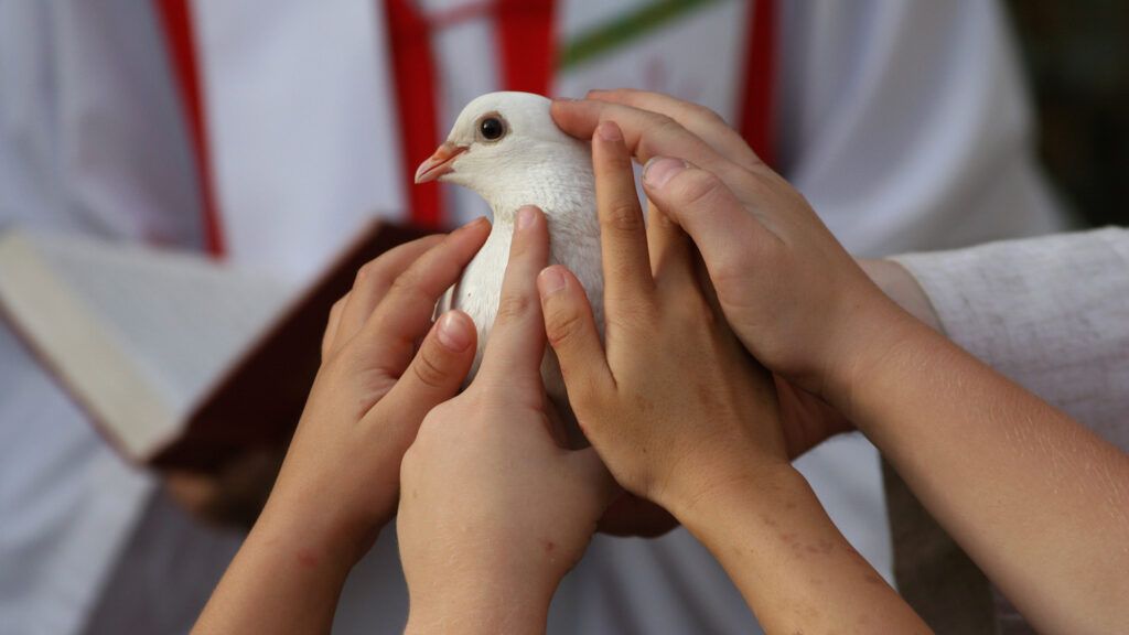 A white dove, the symbol of Pentecost