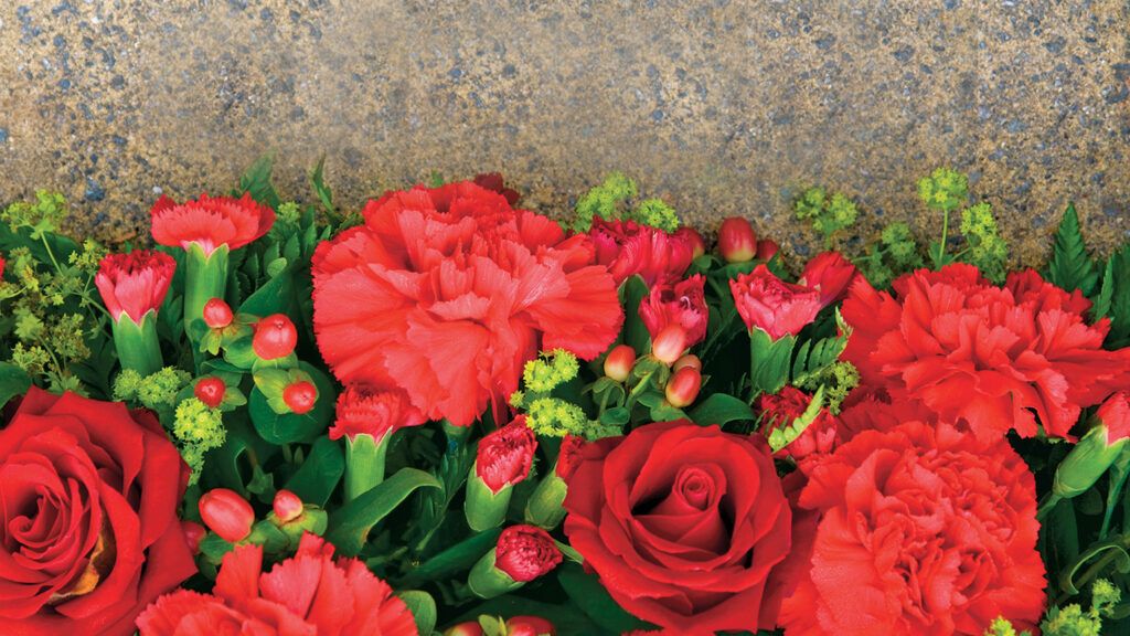 Red carnations nestled next to a tombstone