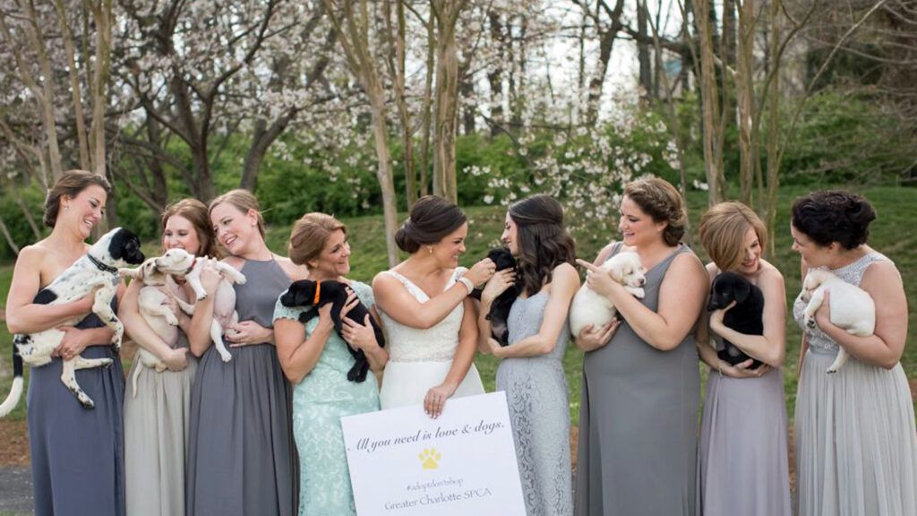 This Bride Traded in Bouquets for Puppies