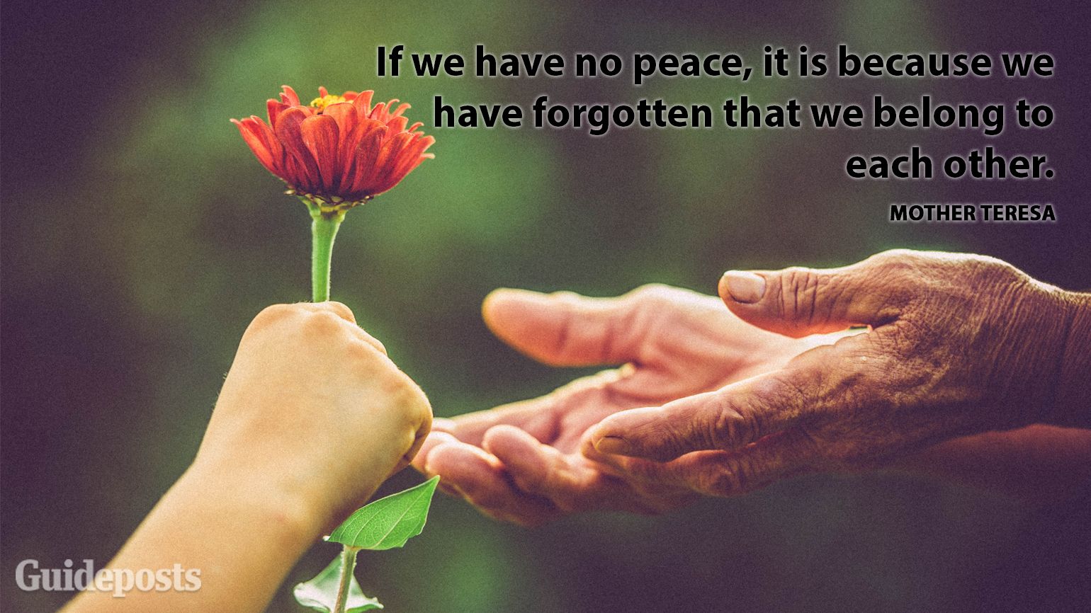 If we have no peace it is because we have forgotten that we belong to each other