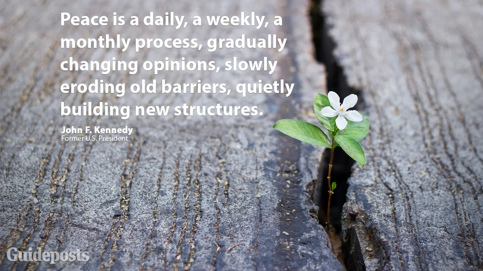 Peace is a daily, a weekly, a monthly process, gradually changing opinions, slowly eroding old barriers, quietly building new structures