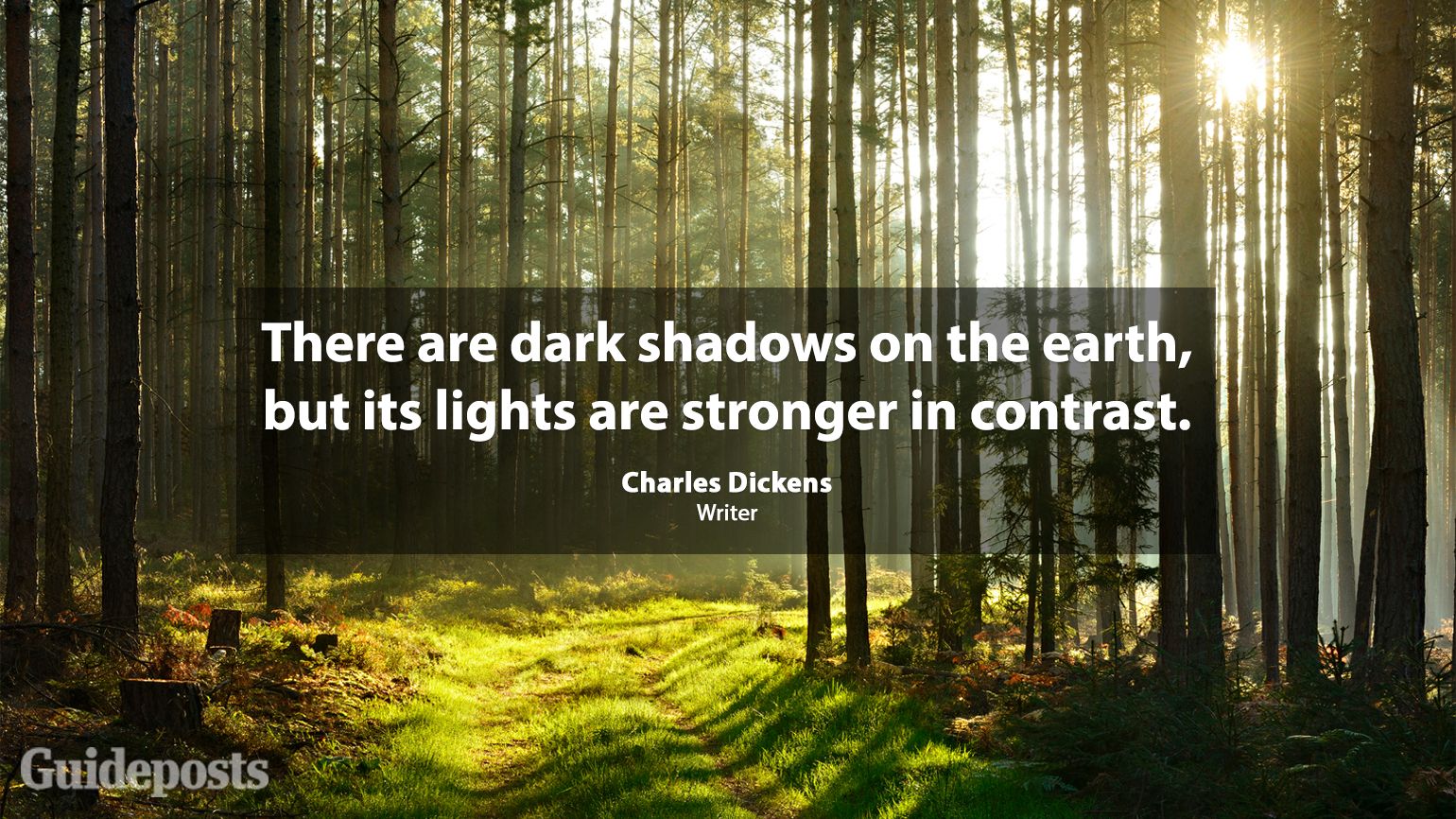There are dark shadows on the earth, but its lights are stronger in contrast