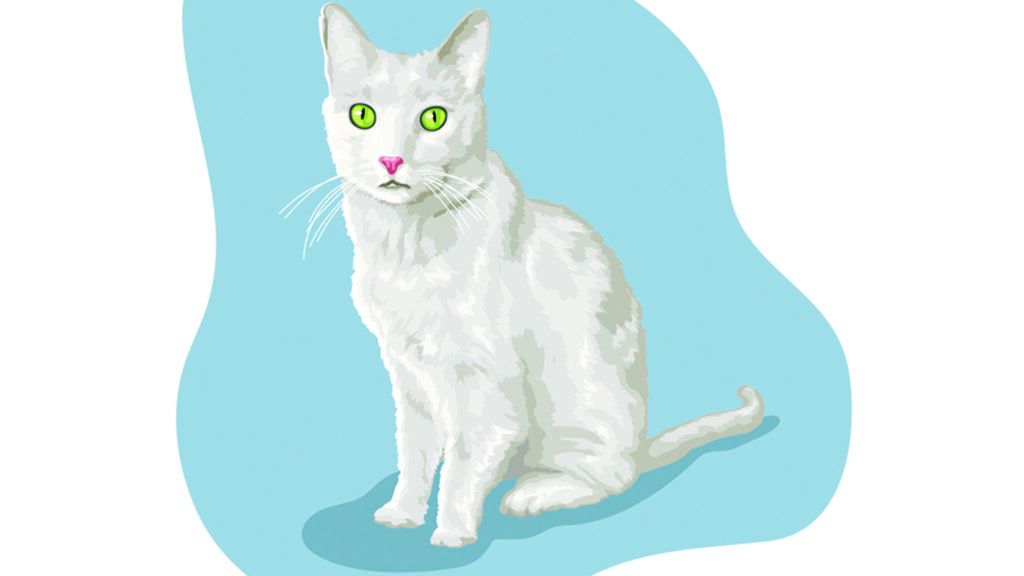 Illustration of a white cat with glowing eyes