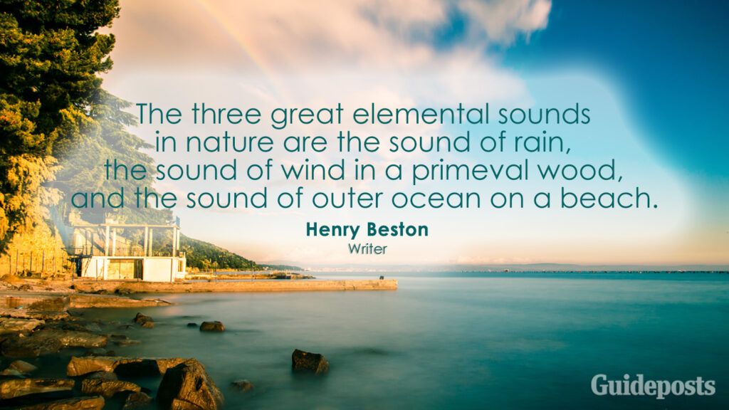 The three great elemental sounds in nature are the sound of rain, the sound of wind in a primeval wood, and the sound of outer ocean on a beach. Henry Beston