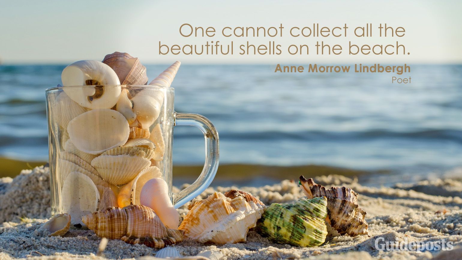 One cannot collect all the beautiful shells on the beach. Anne Morrow Lindbergh