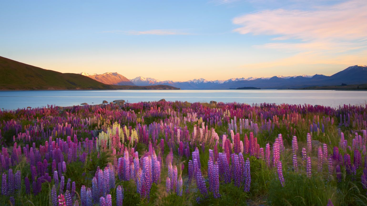Nature scene in New Zealand; Getty Images