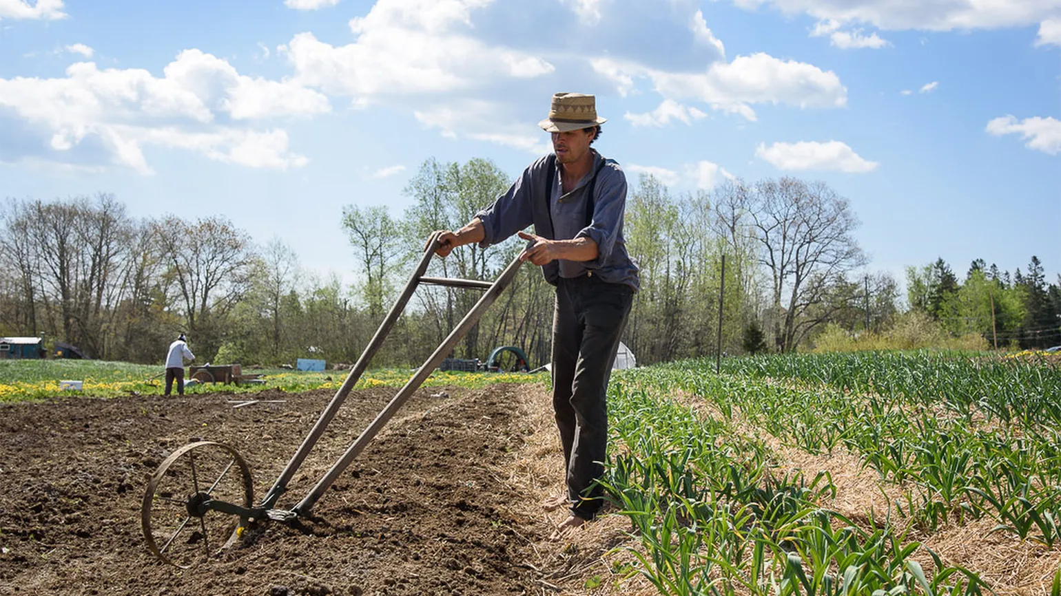 Michael plows his fields