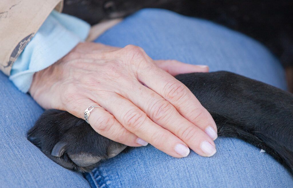 Linda Rae places her palm gently on the paw of her canine friend, Trixie.