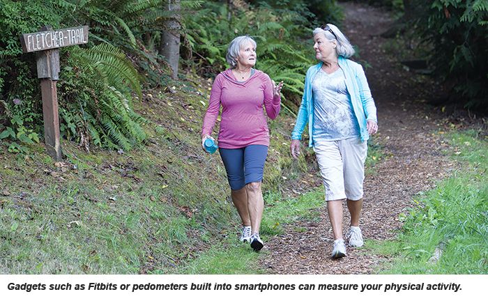 Two senior women walk for exercise in a park