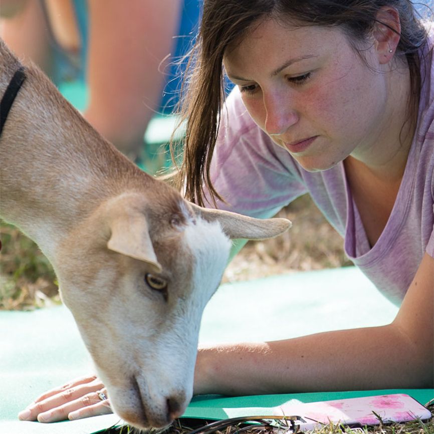 Goat Yoga: Morse says these social animals bring a meditative quality to class. Better Living Health Wellness