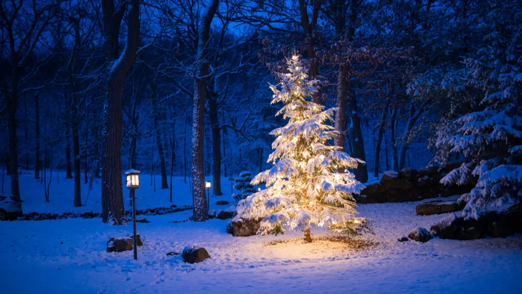 A lone Christmas tree with bright lights in the middle of a snowy forest a night with Christmas stories of hope