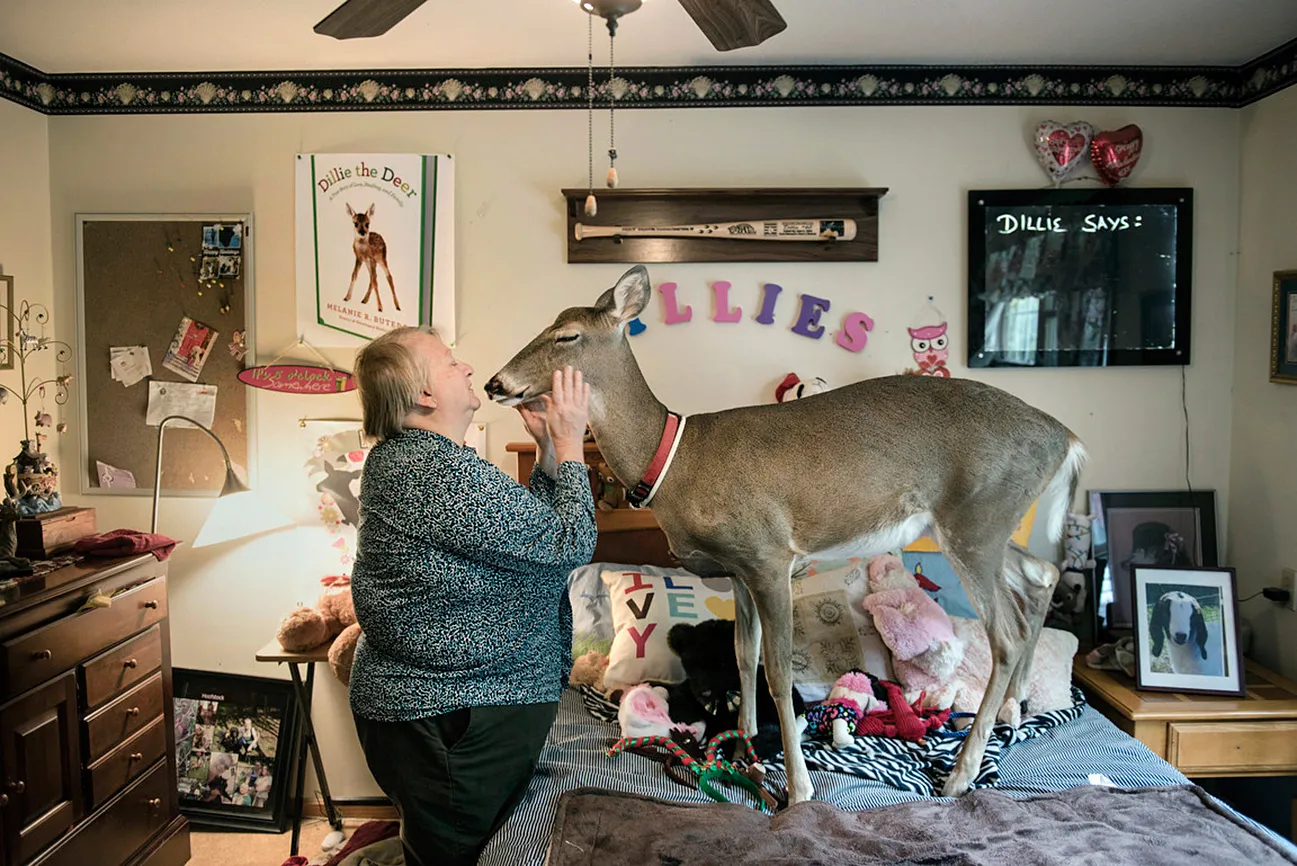 Her room, which she claimed from the family cat, Spazz, is where Melanie and her husband, Steve, set up the DillieCam, where viewers from around the world could watch Dillie on the web.