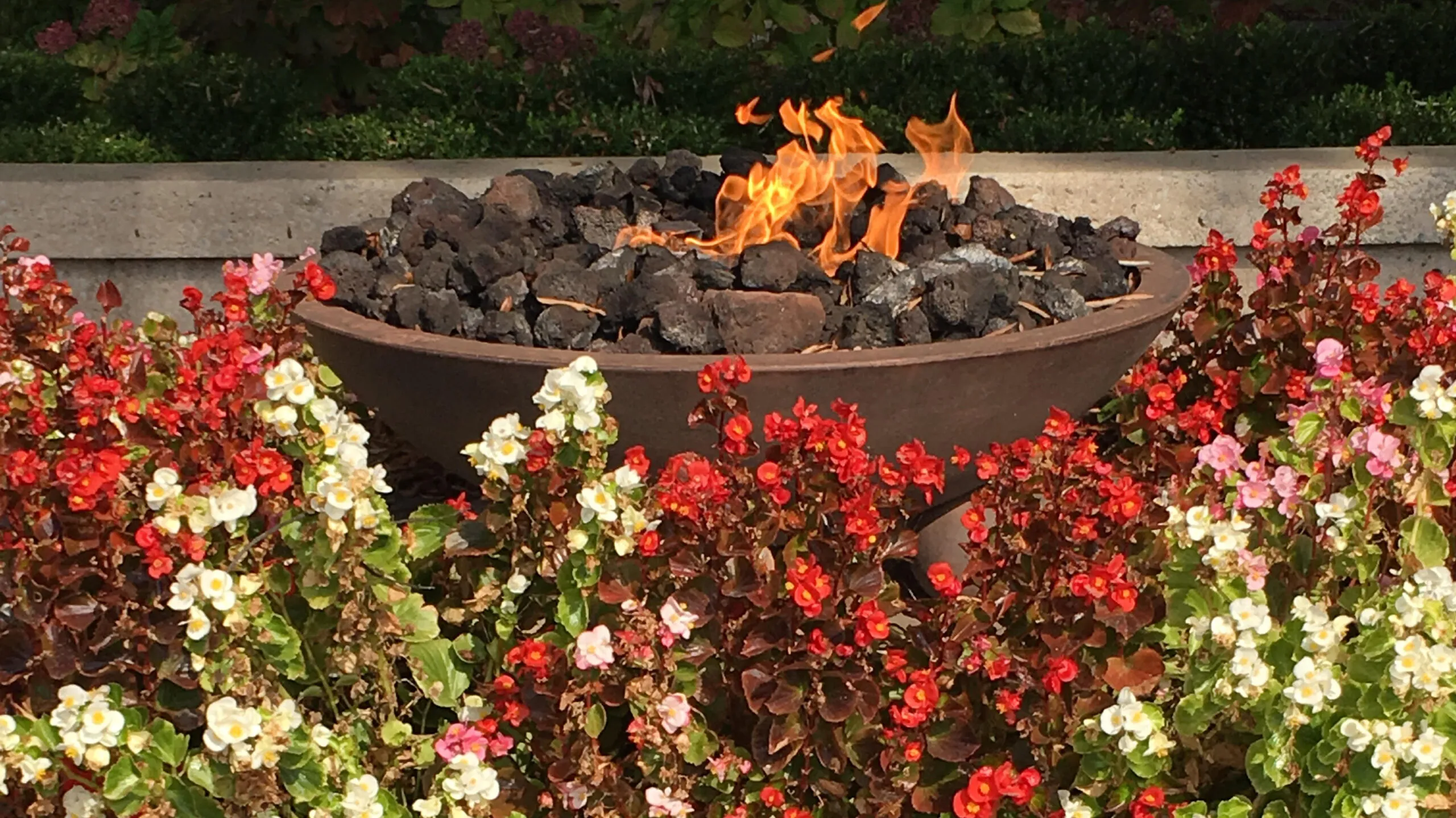 Eternal Flame, Dr. King, photo credit: Brooke Obie