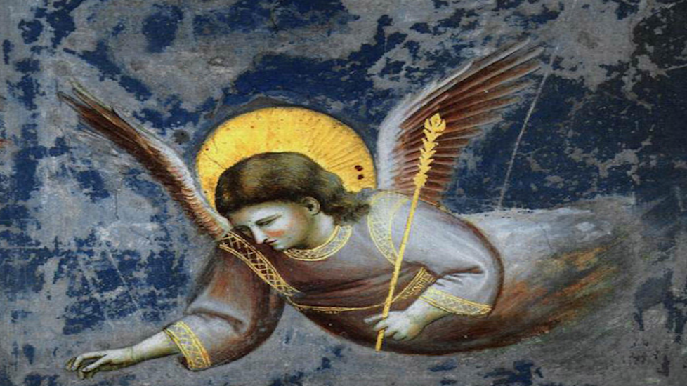 Giotto Bondone: Angel - (detail from Arena di Scroveggni)