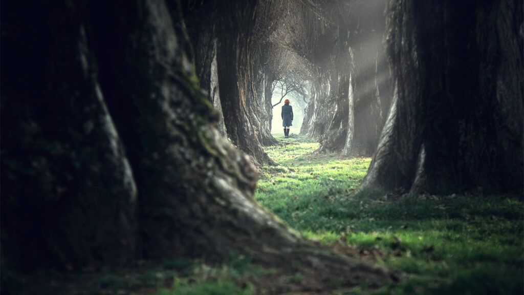 A woman walks alone in a forest