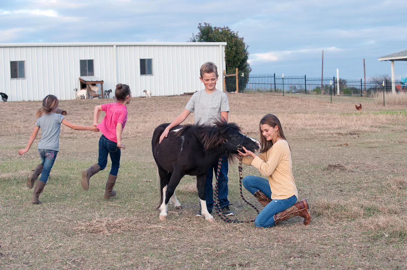 It took a few days for Tobias to warm up. He had been abused and had scars all over his body. When Kirk got down on his knees and sat with the pony for a while, Tobias slowly made his way over and rested his head on Kirk’s shoulder. Trust was building.