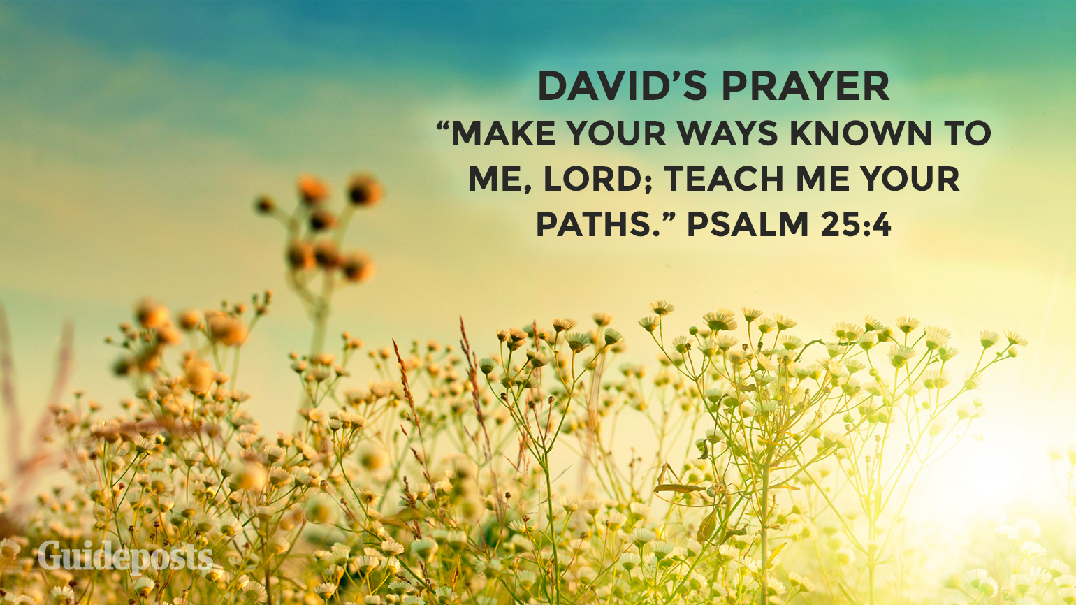 David’s Prayer